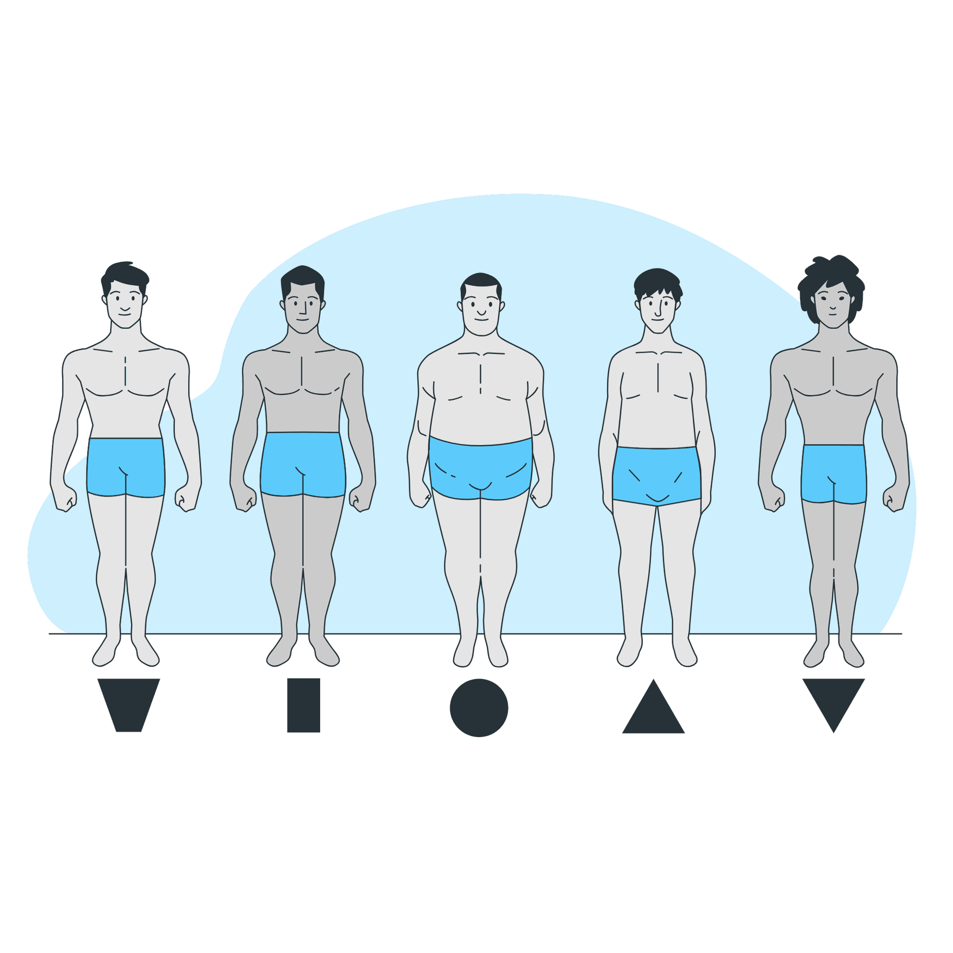 Illustration showing different male body shapes